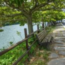 백향목숲휴양림 이미지