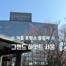 서울뷰 | 시티뷰 말고 남산뷰 했어요｜그랜드 하얏트 서울 호캉스 후기