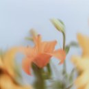 부동산재테크Ⅰ 이미지