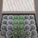 예다원 | [대구 우전예다원] 상견례음식부터 답례품까지! 부모님도 만족하신 우전예다원 이바지 음식 후기