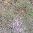 유몽인선생묘역 이미지