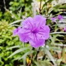 함께하는 사람들 이미지