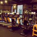 MUSCLE GYM(머슬짐) 이미지