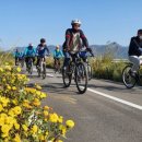 함평천지길 이미지