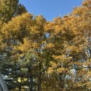 효자로 L 이미지