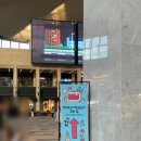 (주)태연푸드 | <<MADLY MEDLY 2025>> 매들리 메들리 일요일 후기