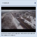 해미안 | 여행] 1100고지 휴게소 방문 후기 / 1100고지 CCTV, 주차, 습지 도보 후기 / 녹차 해수사우나 해미안