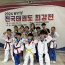 용인대 남양 태권도장 이미지