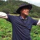 박영철농장 이미지