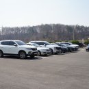 구난이 약나무 마을 | 이천 산수유마을 축제 실시간 산수유 개화율 정보 | 재탕X 실시간 방문 후기!!