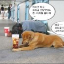 다 - 중랑구 | 다