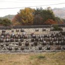 방곡도깨비 마을 이미지