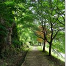 외씨버선길(오일도시인의길) 이미지