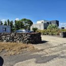 표선리-10 이미지