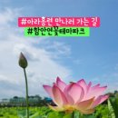 연꽃테마파크 방문자 센터 이미지