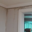 신월동133 이미지