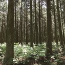 제주마을 이미지