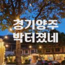 박터졌네 이미지