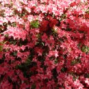 런던파크 이미지