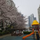 다운현대아파트 놀이터 이미지