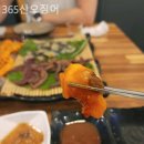 365산오징어