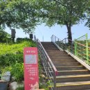 송정농구장 | 성동구 송정 반려견 놀이터 (무료)