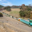 창평로 | 대구 근교 가볼만한곳 칠곡양떼목장 내돈내산 후기