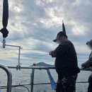 홍성배 | 홍성배낚시 즐거운 고고씽호 다녀온 후기