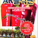 신비너스 이미지