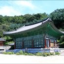 화림전기
