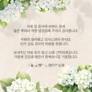 솔솔 | 수원 파티웨딩유 아이폰스냅 솔솔스냅 본식후기