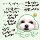 펫라운지 애견미용 애견호텔 이미지