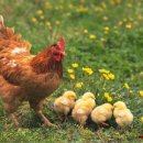 계명실업 이미지