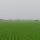 인천광역시바로알기종주단 이미지