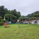 파트라슈 애견 펜션 이미지