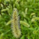 선부초등학교 이미지