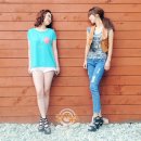 호랑컴퍼니 이미지