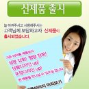 비타과일