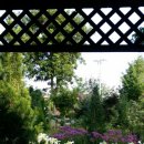 연어의고향 이미지