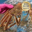 늘푸른찬 쇼핑하우
