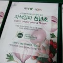 천년초마을영농조합법인 이미지