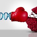 티피컬짐 분평점 이미지