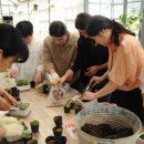 에덴플라워 이미지