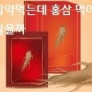 혈압약먹는데 홍삼 먹어도 괜찮을까 이미지