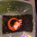 합성동113 | 마산 합성동 신선한 해산물 한가득 술집 "삼바리" 재방문 후기