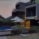 비다펠리스 이미지