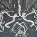 (주)리더스헬스케어 이미지