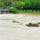 회현리 충신열녀문 이미지