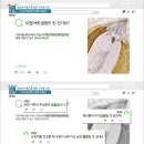 오징어 위 하얀가루, 그냥 먹으면 위험한 이유 이미지