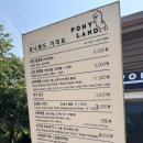 남매목장 | 부산근교 울산 아이랑 가볼만한곳(Feat.양떼목장, 아이승마체험): 포니랜드